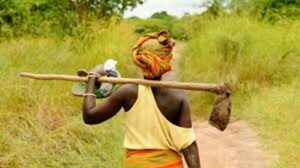 Article-agri-555-300x168 Articles/Analyses