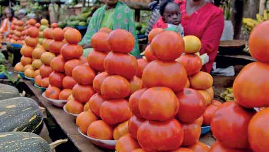 vente-tomate Réglementation sur le marché libre : ce n'est pas ce que la plupart des gens croient