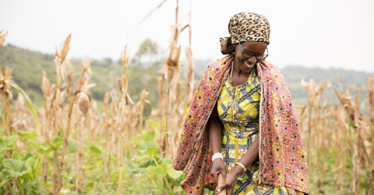 Savoir-faire local rural et entrepreneuriat des jeunes : un atout non encore valorisé